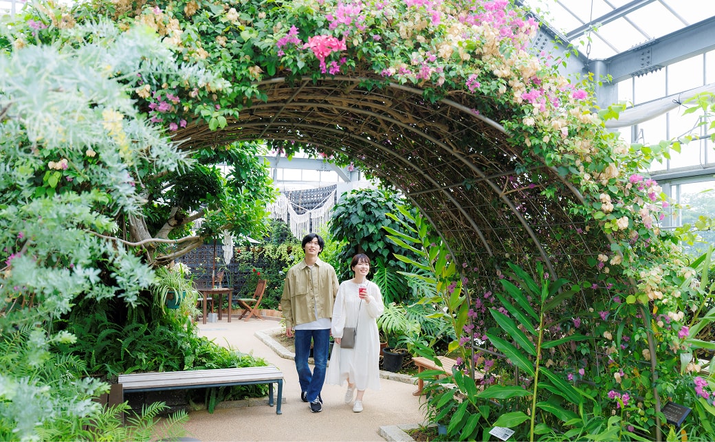 万葉菊花園